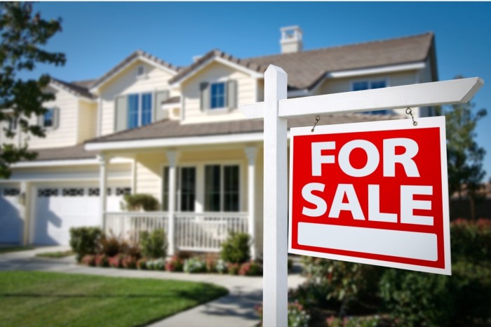 Driving Sales With Effective Real Estate Listing Strategies - Botsford ...